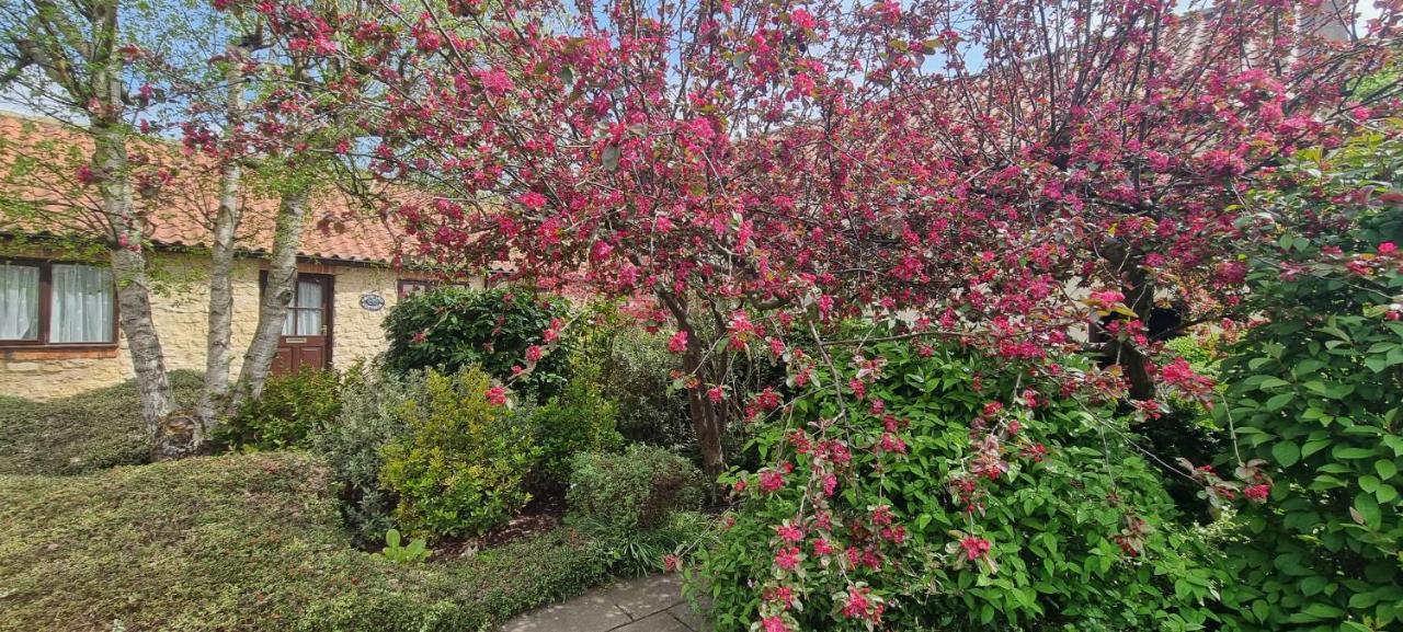 Osprey Meadow Holiday Cottages Bedale Exterior foto